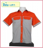 ช็อปใหม่2