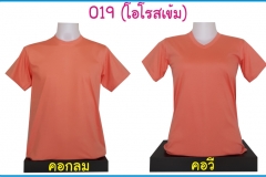 019