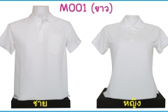 M001