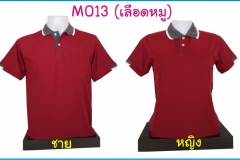 M013