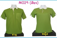 M029